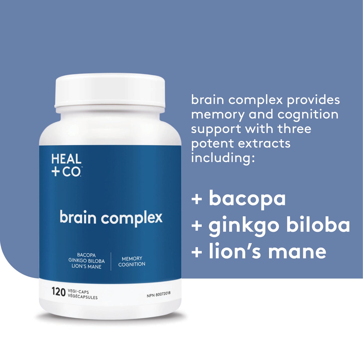 Brain Complex