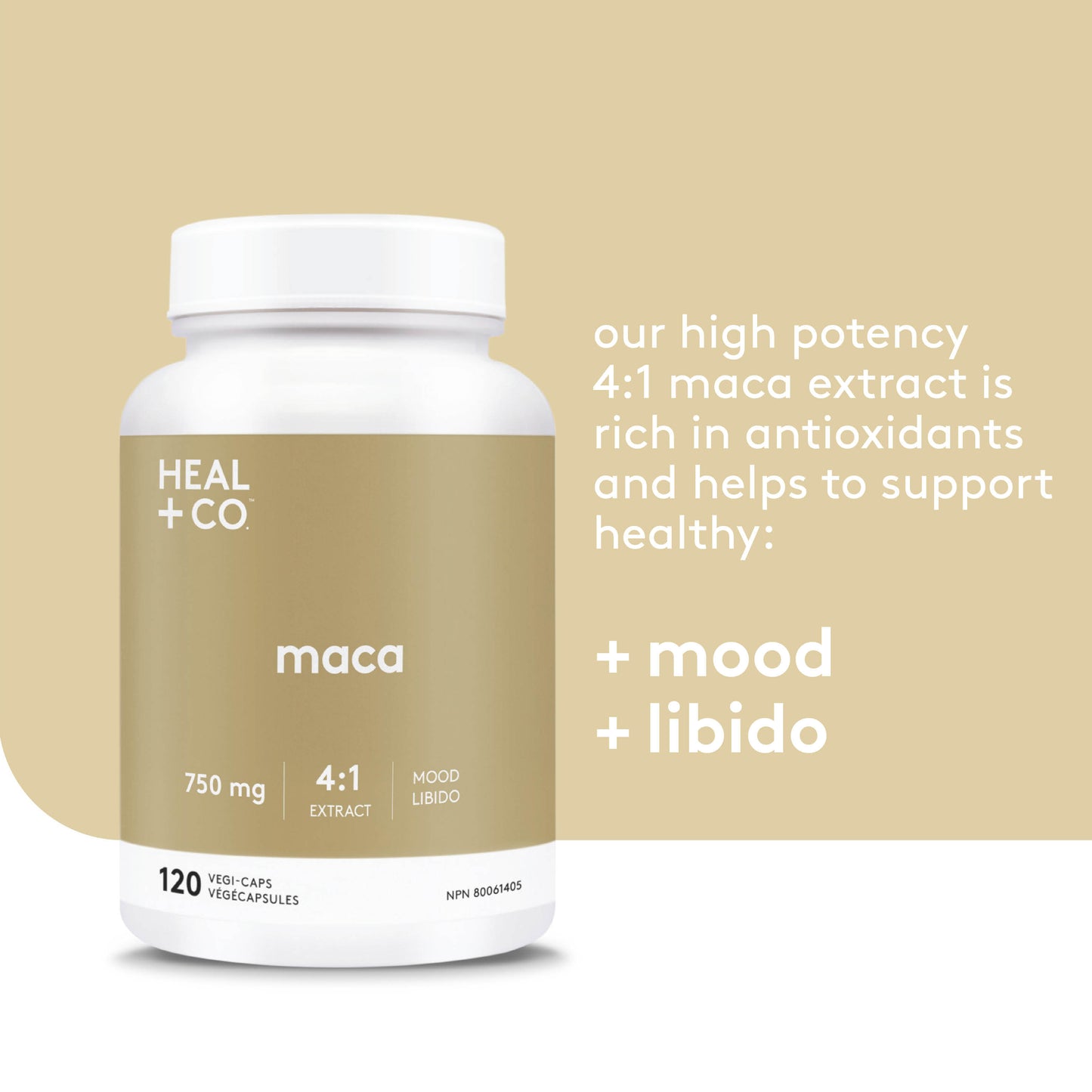 Maca